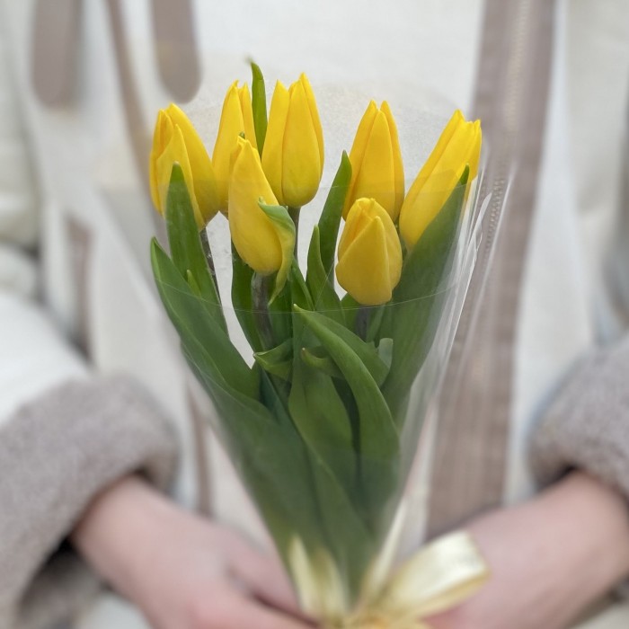 7 желтых тюльпанов в пленке